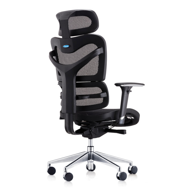 Delta 24 Hour Ergonomic Posture Mesh Office Chair